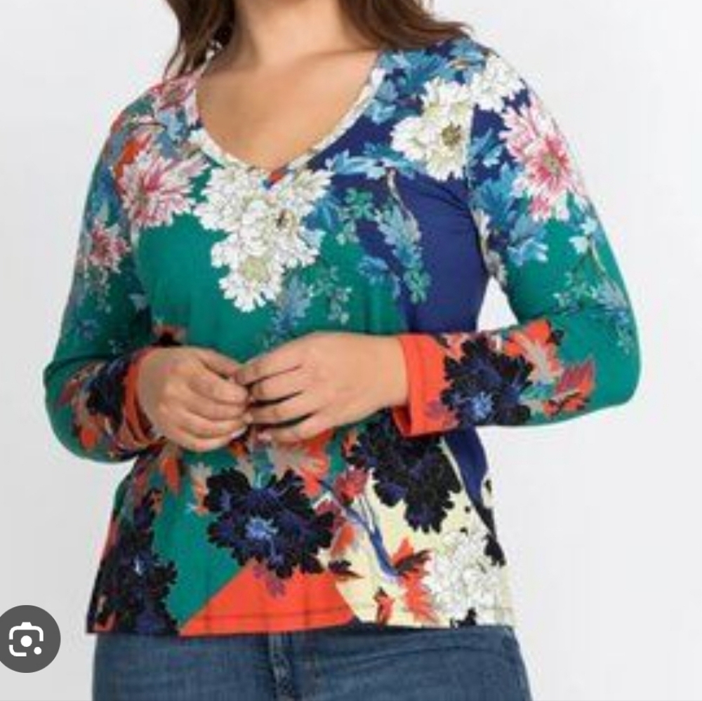 Johnny Was Marritt Poppy Floral Blue Green Long Sleeve V Neck Top. Size Large